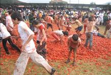 Tomatina (Tomato Festival)